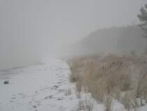 Tr�bes Winterwetter - Blick von Prora in Richtung Binz. 12/05