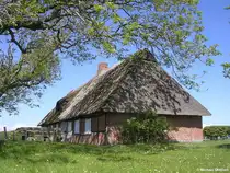 Die  Fischerkate  im Naturschutzgebiet  Geltinger Birk  (Kreis Schleswig-Flensburg, Schleswig-Holstein, Mai 2010)