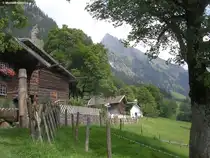 Gerstruben s�dlich von Oberstdorf (Oberallg�u, August 2010) mit seinen denkmalgesch�tzten H�usern und der dahinter liegenden Bergspitze vom H�fats