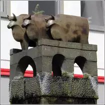 Osnabr�ck. Die  Ossenbr�gge  des Keramikk�nstlers Rolf Overberg (1933–1993) steht an der Osterberger Reihe. Sie thematisiert den niederdeutschen Namen der Stadt.
10.08.2014
