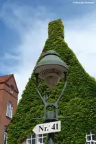 Gesehen in einem der Hinterh�fe in L�beck (Mai 2011)