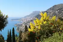 Monaco in der Ferne - diese fr�hlingshafte Aussicht gab es am 10. Februar 2015 von Roquebrune-Village (Roquebrune-Cap Martin, C�te d'Azur).