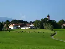 Segg im Ostallg�u, Blick auf den Luftkurort mit der Pfarrkirche St.Ulrich, geh�rt zu den bedeutensden Rokokokirchen in Bayern, Sept.2014