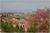 Fr�hling in Florenz.
(19.04.2015)