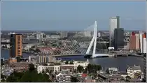 Rotterdam. Die 802 m lange Erasmusbrug �ber die Nieuwe Maas. 07.06.2015