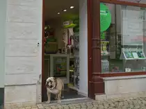 Warten auf Kundschaft ? - ein Mobilfunkladen in D�beln; 20.07.2015
