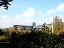 Hinter dem Gestr�pp taucht der riesige Komplex des Kombinates Gro�drehmaschinenbau  8.Mai  auf, Chemnitz 16.10.07