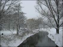 Hier eine weitere Winter-Impression aus der G�nther-Klotz-Anlage in Karlsruhe. Zu sehen ist der kleine Flu� Alb, der aus dem Albtal kommend sp�ter in den Rhein m�ndet. (26.01.2006)