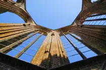 Ruine der Franziskaner-Klosterkirchein Berlin-Mitte von unten nach oben gesehen. Aufnahme: 2. Mai 2008.