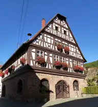 D�rrenbach, das bedeutende Fachwerkrathaus von 1590, der kleine Weinort in der s�dlichen Pfalz tr�gt den Beinamen  Dornr�schen der Pfalz , Sept.2015