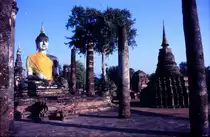 Buddha in der alten Stadt Ayutthaya. Sie war die Hauptstadt des siamesischen K�nigreiches Ayutthaya, bis sie durch die birmanische Armee eingenommen und praktisch dem Erdboden gleichgemacht wurde. Aufnahme: Februar 1989 (Scan vom Dia).