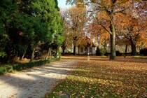 Schlo�park - Das Gr�n der Mammutb�ume wetteifert mit dem Gelb der Kastanienb�ume. Wo sind nur die Menschen an diesem sch�nen Samstagnachmittag ? Etwa alle einkaufen ? 3.11.2007