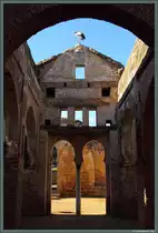 Ein Storch wacht �ber den Ruinen der Moschee in der Chellah von Rabat.  (23.11.2015)