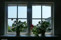 Blick hinaus aus dem Museum Pfarrwittwenhaus in Gro� Zicker (M�nchgut, R�gen, Mai 2011)