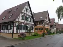 Am Anger von Neulingen (30.05.2015)