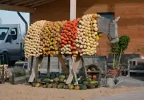 K�rbiskunstwerk  Pferd  bei Kommern - 03.11.2015