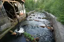 Meynau an Schafflunder M�hle. Aufnahme: Mai 2012.