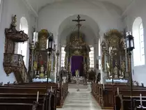 Stettfeld, barocker Innenraum der Maria Himmelfahrt Kirche (26.03.2016)