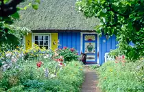 Ausschnitt eines Reetdachhauses mit Garten im Ostseebad Prerow auf der Halbinsel Fischland-Dar�-Zingst. Bild vom Dia. Aufnahme: August 2001.
