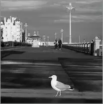 Hier gilt der Fokus eher den Ge�auden im Hintergrund - oder Brigton einmal anders gesehen. 25. April 2016