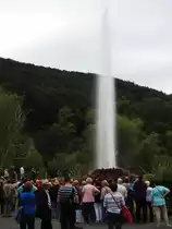 EIN GEYSIR MITTEN IN DEUTSCHLAND-
mit dem 1903 erstmals erbohrten und mit ca. 50/6o Meter weltweit h�chsten
Kaltwassergeysir,auf der NAMEDYER WERTH in ANDERNACH/RHEIN gelegen,

hat das Rheinst�dtchen eine echte Touristen-Attraktion.Bei einer Eruptionsdauer
von ca. 8 Minuten kann man das Naturschauspiel etwa alle 100 Minuten beobachten,
hier am 16.7.2016