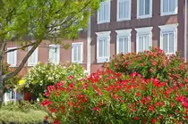 Bestand an Sončno nabre�je in Izola. Aufnahme: 29. Juli 2016.