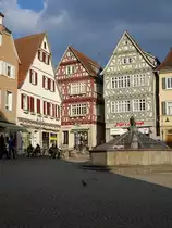 Vaihingen a. d. Enz, Fachwerkh�user am Markt (10.04.2016)