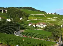 Weiler Le Ch�telard sur Lutry - 11.08.2009