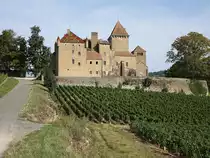 Chateau von Pierreclos (22.09.2016)