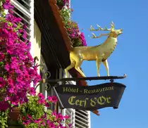 Stra�burg, Hotel-Restaurant  Goldener Hirsch  (Cerf&Or), Juli 2016