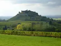 Staufen im Breisgau, die Weinreben am Schlo�berg reichen auf der Ostseite hinauf bis zur Burgruine, Okt.2015