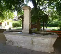 Staufen im Breisgau, Brunnen an der Haupstra�e, Juni 2014