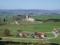 Burgruine Sulzberg, Partien der n�rdlichen, s�dlichen und westlichen Ringmauer sowie Bergfried und Reste von Palas und Kemenate, um 1100 (27.03.2017)