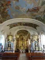 Schwarzach, barocke Ausstattung der St. Martin Kirche, Kirche erbaut von 1710 bis 1720 (14.11.2016)