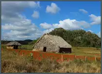Ein Tabakschuppen bei Vi�ales. Im Hintergrund ist einer der Mogotes genannten Kalksteinfelsen zu sehen. (21.03.2017)