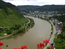 Blick auf die Stadt und die leicht �berflutete Mosel (v.a. am Fu�-/Fahrradweg unten links erkennbar) auf der Cochemer Reichsburg. [Ende Juni 2016]