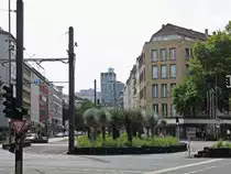 Blick auf die Palmeninsel mit Yucca-Palmen auf dem Stresemannplatz in D�sseldorf am 27. Juli 2017.