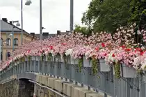 Blumen an der Br�cke Stadhusbron. Die Br�cke verbindet Kungsholmen mit Stockholm City. 
Aufnahme: 26. Juli 2017.
