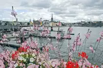 Blick auf M�laren vom Stadshusbron am Stockholmer Rathaus. M�laren ist nach V�nern und V�ttern mit 1090 km� der drittgr��te See Schwedens und damit etwa doppelt so gro� wie der Bodensee
Aufnahme: 25. Juli 2017.