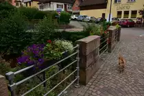 Br�cke der Hauptstra�e �ber den Seebach in Neckargerach, die mit Blumenschmuck versch�nert wird jedes Jahr. 9.9.2017
P.S. der Kampfdackel heisst Benji. ;-)