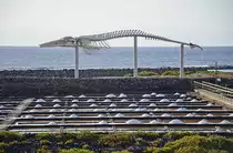 Skelett von einem Pottwal in Salinas del Carmen auf der Insel Fuerteventura. Kanarische Inseln, Spanien. Aufnahme: 18. Oktober 2017.