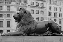 Eine L�wenfigur am Trafalgar Square im Herzen von London. (M�rz 2013)