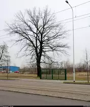 Ein verschlossenes Tor auf freiem Gel�nde sieht man in der Delitzscher Stra�e schon seit einigen Jahren. Was man sich dabei gedacht hat? [17.2.2018 | 14:15 Uhr]