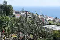 FUNCHAL (Concelho de Funchal), 01.02.2018, Blick �ber einen Teil des Botanischen Gartens in Richtung S�dosten