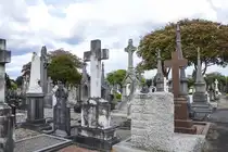 Glasnevin ist der gr��te Friedhof Irlands, er ist etwa 50 ha gro�. 1,5 Millionen Iren wurden hier beigesetzt, das sind mehr Menschen, als heute in Dublin leben. Darunter auch viele bekannte Iren und Helden: der Freiheitsk�mpfer und Politiker Daniel O’Connell, der Politiker Charles Stewart Parnell, der Mitbegr�nder der IRA Michael Collins, der ehemalige Premierminister und Pr�sident der Republik �amon de Valera oder der S�nger der Dubliners Luke Kelly.
Aufnahme: 11. Mai 2018.