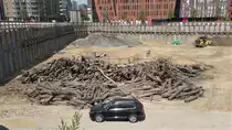 Hamburg am 15.5.2018: Holz-Fundamentpf�hle der alten Speicherstadt in einer Baugrube in der Hafencity /
