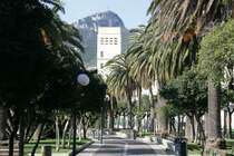 Eine unglaublich gro�e Anzahl von Palmen sind das �u�ere Erscheinungsbild von Salerno.