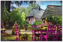 Vor dem Forsthaus in Erhorn.
Die Sitzgruppe erstrahlt in der Farbe der heimischen Calluna (Besenheide), dekoriert mit den Pflanzen der Region. Walderlebnis-Zentrum Erhorn. September 2018