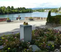 Rheinfelden AG, Blick vom Burgstall (Rheininsel) flu�aufw�rts, Mai 2017