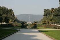 Im Fr�hling erwrtete ich hier ein Bl�tenmeer, so wie ich es Campanien grad vorfinde. Doch hier war ich auch vom Anblick einiger G�nsbl�mchen entt�uscht.